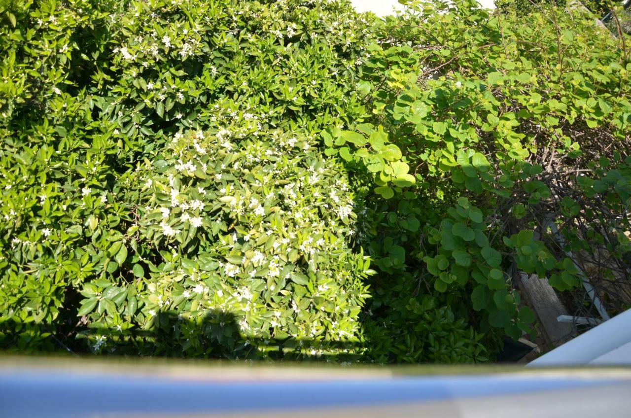 Apartment Jure Trogir Buitenkant foto